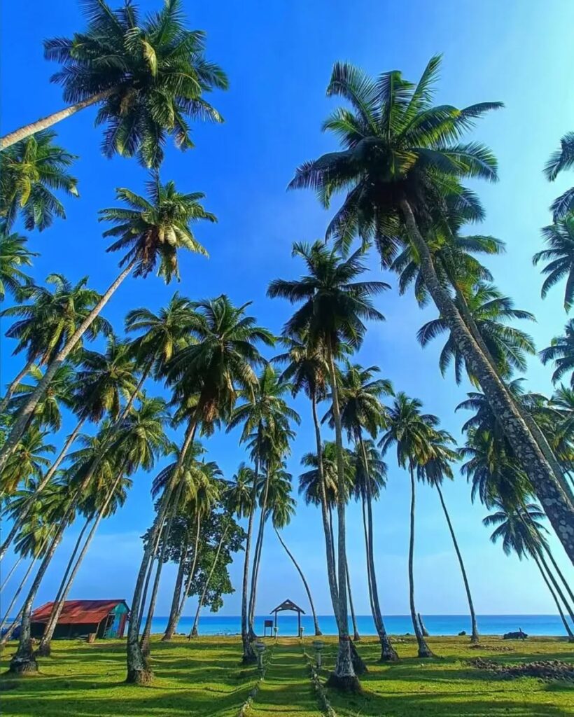 lalaji bay long island