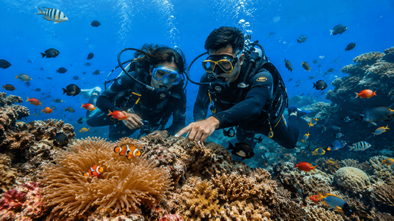 Stay, Save & Surf: Andaman Water Sports Guide